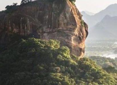 Tour Around the Pearl