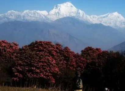 Ghorepani, Poon Hill Trekking Package