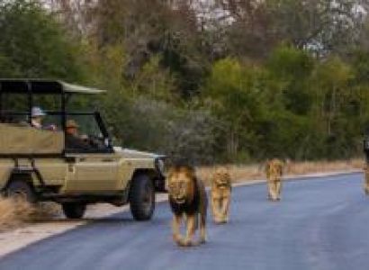Kruger Day Safaris Tour