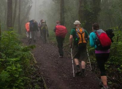 Experience Climbing Mt. Kilimanjaro Via Lemosho Route - 7 Days
