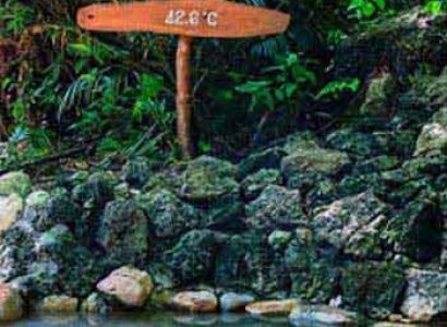 Manila/Cebu/Oslob Tour