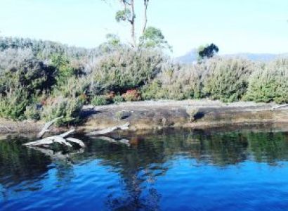 Tasmania Highlight 4 Days Tour