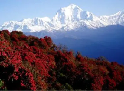 Ghorepani Poonhill Trek Package