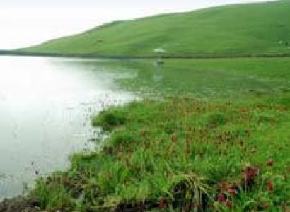 Camping in Bedni Bugyal Tour