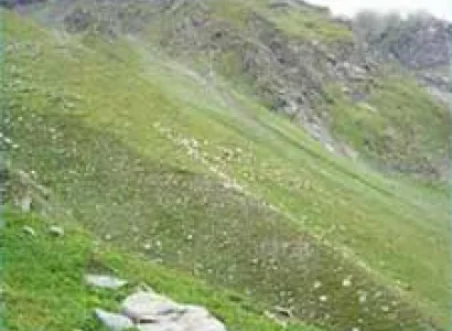 Valley of Flowers Family Trek