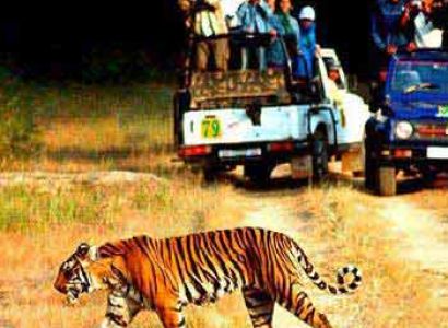 2 Night 3 Days CORBETT / WEEKEND GETAWAY