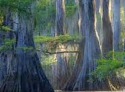 Baratang – Port Blair Tour