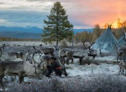 Tour to Tsaatan Reindeer Herder Family