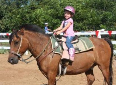 Horseback Riding - Western Style