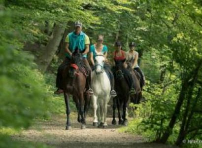Horseback Riding - Mountain Stroll