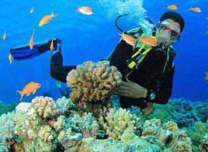 Wadi El Gemal Tours in Marsa Alam