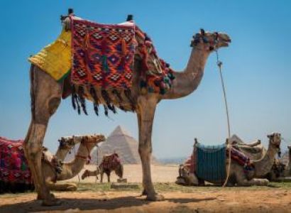Overnight Cairo Tours from Port Said