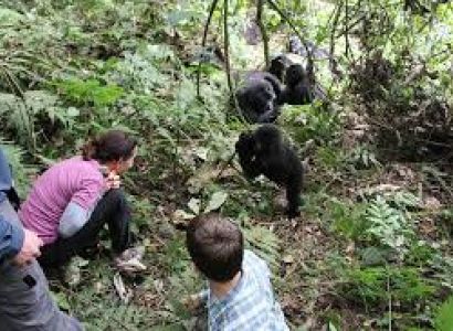 GET TO KNOW THE PEOPLE