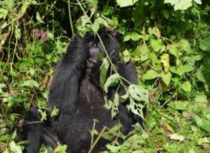 Face the Locals 8 Days Tour Package