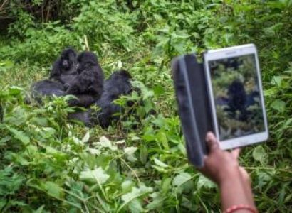 History Will Tell Tour