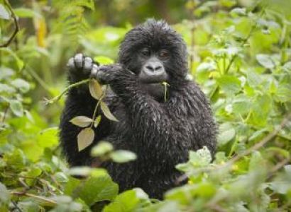 Kibeho Pilgrimage Safari