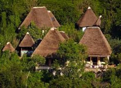 More Than Gorillas Tour