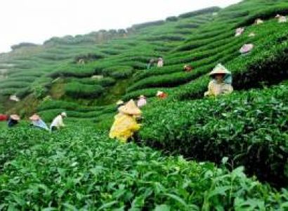 Bagdogra with Darjeeling Tour