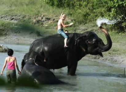 Kathmandu & Chitwan Tour