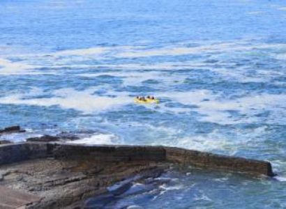 Sea, Waves & Wine Tasting