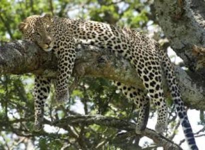 East Africa Camping Safari Tour