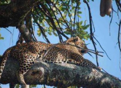 Best of East Africa Safari Tour