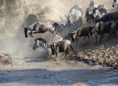 East Africa Honey Moon Safari Tour