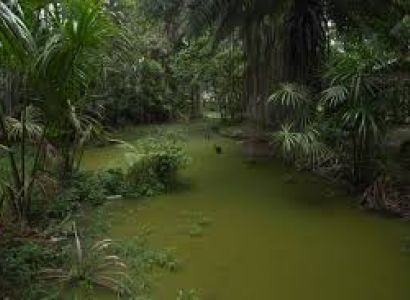 4 Day Amazon Leticia Amazonas Jungle Eco Tour Package