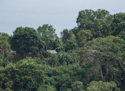 2 Day Jungle Tour in Leticia Amazonas Package