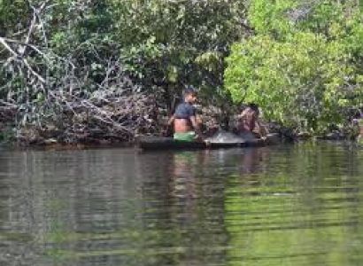 Anavilhanas Dolphin 3d/2n Package