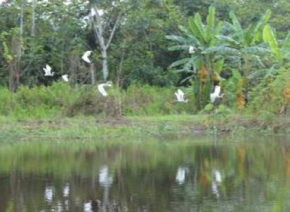 Pacaya Samiria National Reserve 3 Days 2 Nights Package