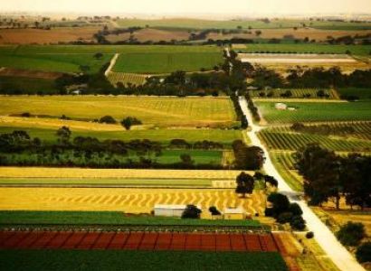 Barossa Valley / Maggie Beer Farm Tour