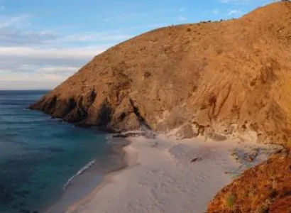 Spirit of Coorong Discovery Cruise & Fleurieu Peninsula Tour