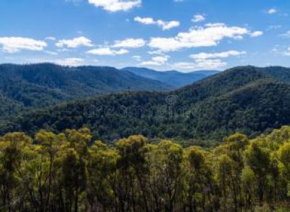 Transfers - Adelaide Hills & Surrounds Tour