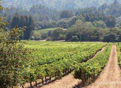 American Cycling Adventures Tour