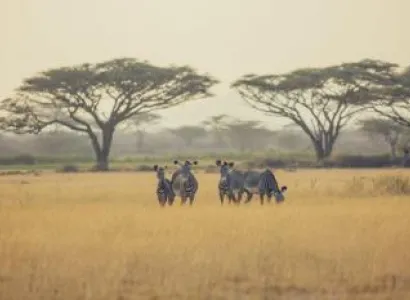 Ol Pejeta - Shaba - Mount Kenya Safari Tour