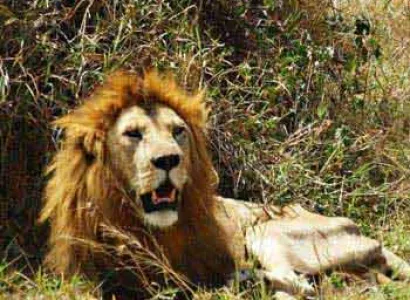 Exclusive African Memory Road / Flight Package Tour