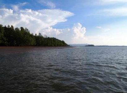 3d Mangroves & Irrawaddy Dolphin Tour