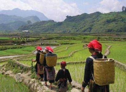 Best of North Vietnam 6 Days Tour