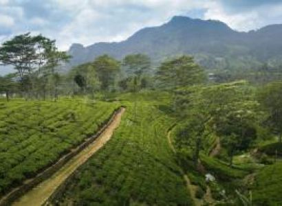5D4N Sri Lankan Highlands Package