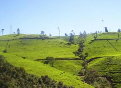 Hill Country Tour Package Package