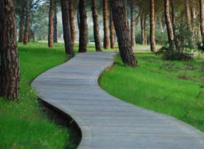 Doñana National Park & El Rocío