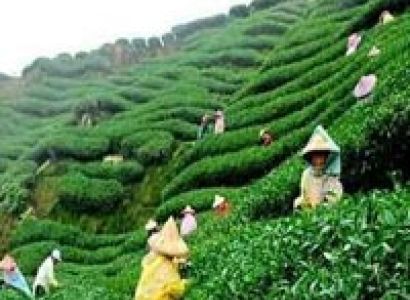 Darjeeling To Sikkim Package Tour