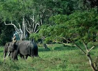 5 Days Medan – Bukit Lawang – Brastagi – Lake Toba Tour