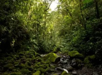 4 Days Villages & Orangutans Tour