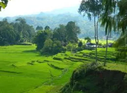 7 Days Toraja – Sengkang – Bira Beach Tour