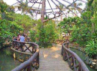 Rainforest Experience Tour