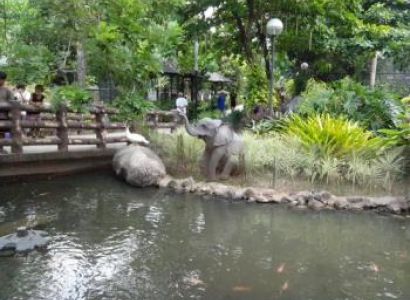 Rainforest Expedition Tour