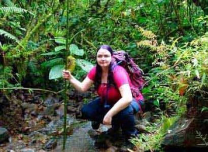 Rainforest Explorer Tour