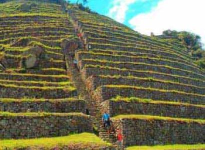 The Centenarian Crops of the Incas Package